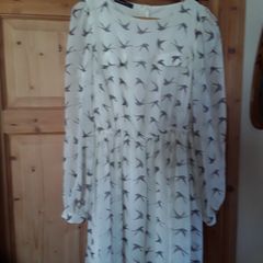 ladies top