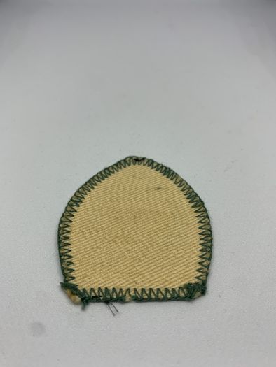 Boy Scout Patch