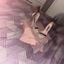 Shoes Image 2