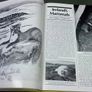 The Irish Wildlife Book Ireland Image 8