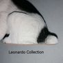 Spaniel Figurine (Leonardo Collection) Image 9