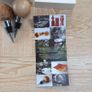 Matt Jones Woodturner Bottlestops Image 4