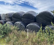 Silage bales