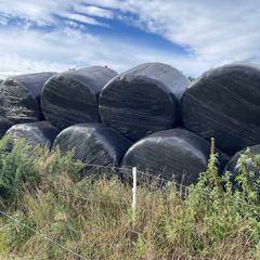 Silage bales