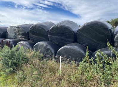 Silage bales
