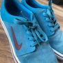 Nike SB Image 2
