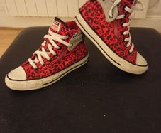 Converse High Tops