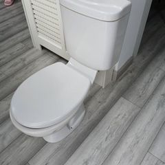 toilet
