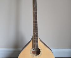 Irish Bouzouki