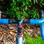 Trek road bike Image 3