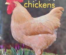 Choosing and keeping Chickens...book