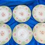 arklow dinner service Image 5
