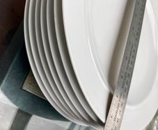 7 Denby dinner plates