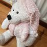 Large Plush Teddy Bear and Gift Bag Image 4
