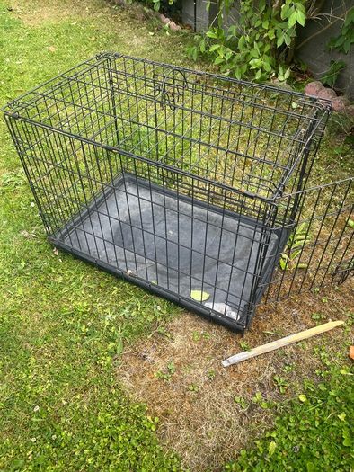 dog cage
