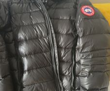 Canada goose crofton good price