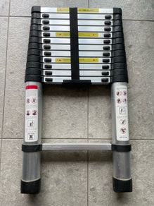 Telescopic Ladder