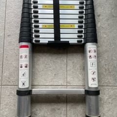 Telescopic Ladder
