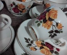21piece vintage tea set by ROYAL STUART