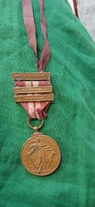 Irish Service Medal