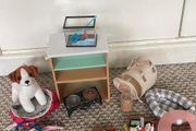 Our Generation Pet Set