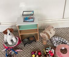 Our Generation Pet Set