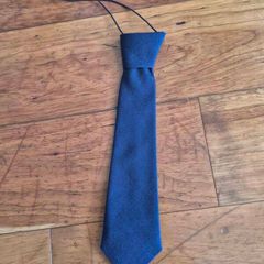 Scoil Aine Clondalkin, navi school tie