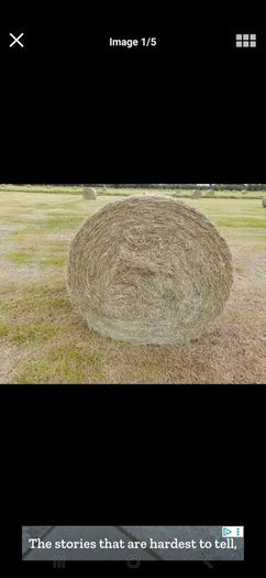 Round and square bales of hay for sale