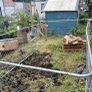 chicken run/ dog run Image 5
