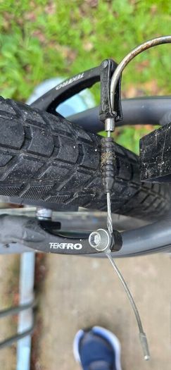Bike "CARRERA" parva LTD, medium size adult