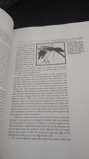 The Complete Book of Foaling : An Illustrated Guide for the Foaling Attendant