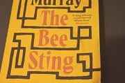 Fiction - Paul Murray