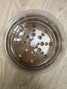 Vintage Terrarium/plant helper, brand Corning USA PH9S
