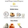 Tiziana Terenzi Uxalpha 2024 new original TESTER type free gift Image 7
