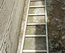 Ladder