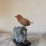 Hand-Carved Gemstone European Robin Image 9