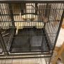 bird cage Image 3