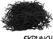 SKRUNCH - Black Shredded Paper - Straight Cut