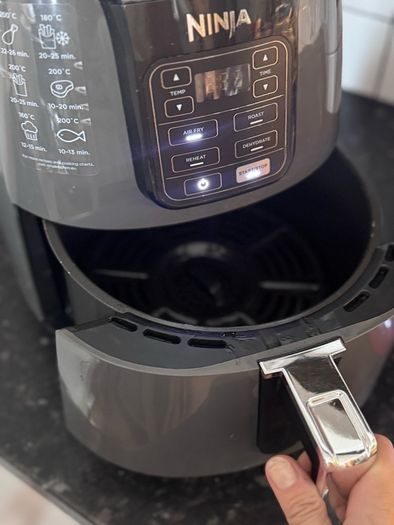 Ninja air fryer