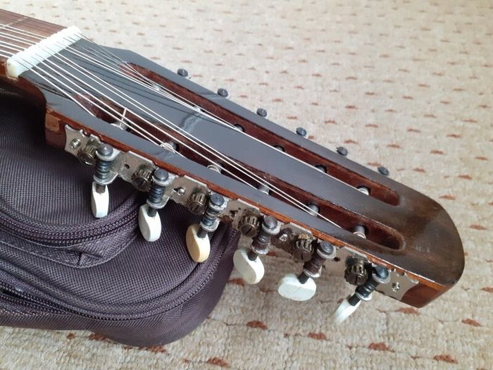 12 string laud