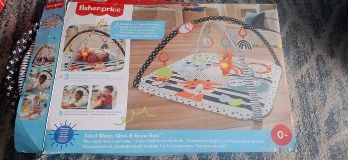 fisher price  baby playmat