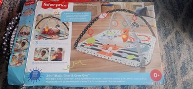 fisher price  baby playmat