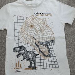 NEXT boy's t-shirt. Age3