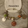 Pandora Bracelet with Old Irish Coins/Silver Plated Image 9