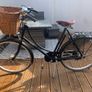 Pashley princess sovereign Image 2