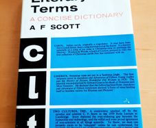 Current Literary Terms