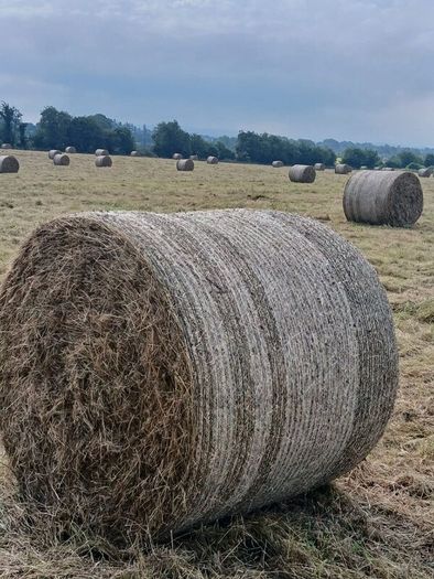 Round Hay Bales
