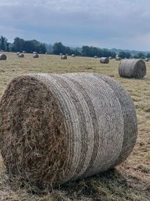 Round Hay Bales