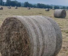 Round Hay Bales