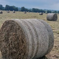 Round Hay Bales